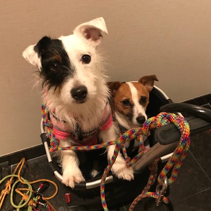 Ee1e998c 3115 4d48 8987 39dc558f3aae