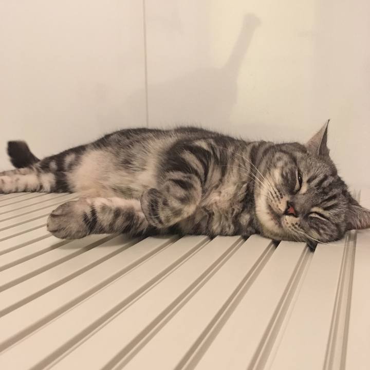 Ee1f65d6 1dad 4b21 a92f 219f18436a38