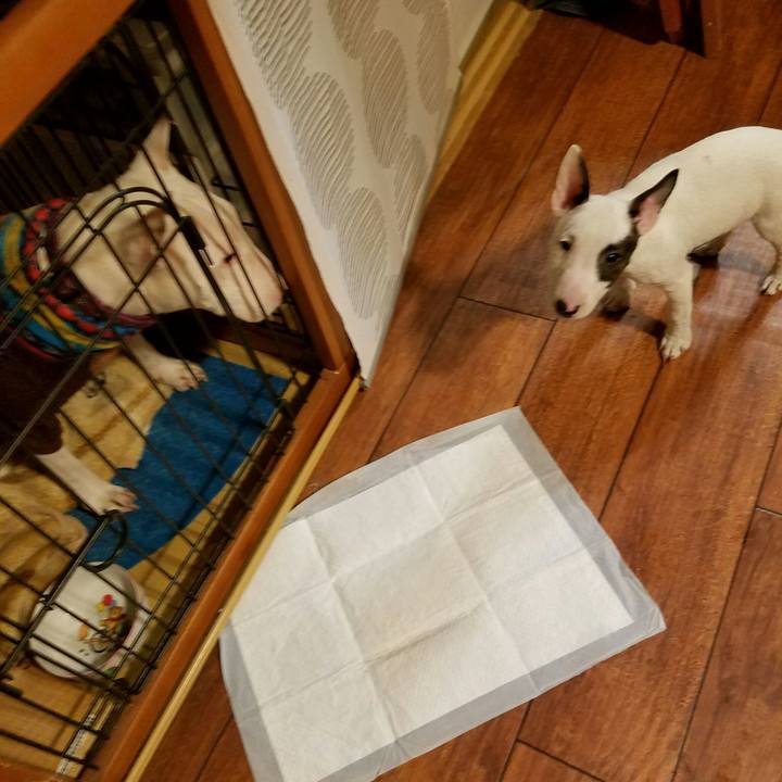 Ee1fe0c4 bea4 4af1 aeef a2a56854aca9