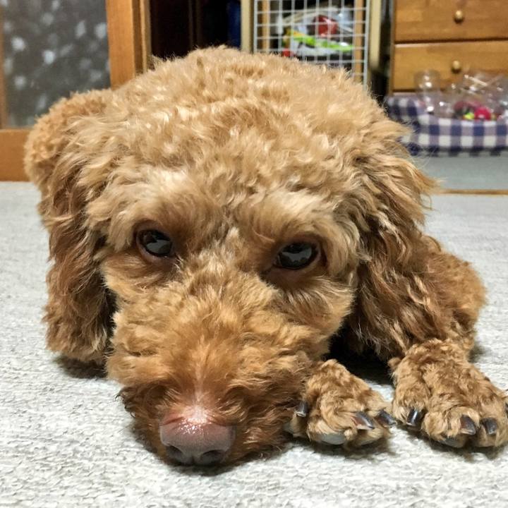 Ee2025a7 2834 4de8 86d3 8b6b2fbcd854