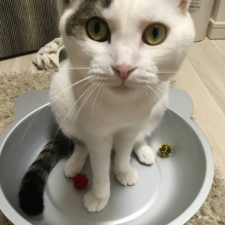 Ee203e52 e6d1 43a3 b393 b83b3bf8a4d3