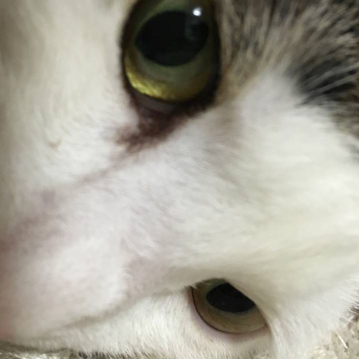 Ee206e93 28cd 4eee b8ed ad5b89b06b7b