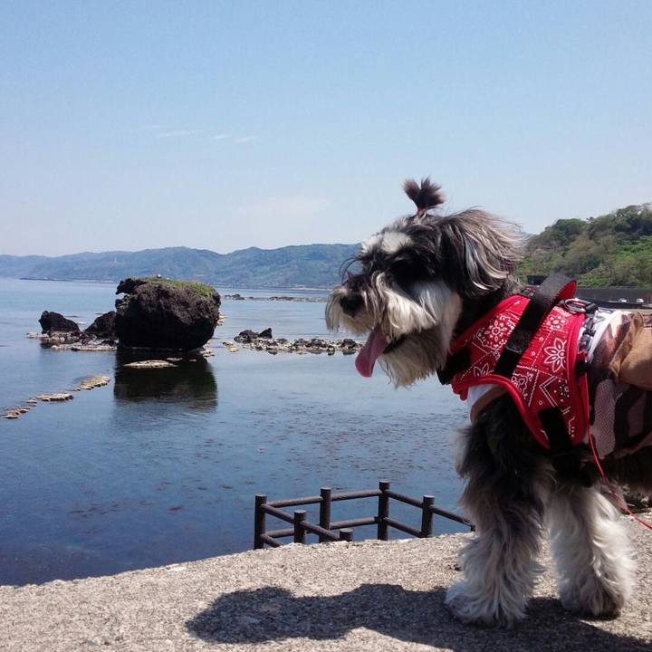 Ee20991d 26b4 4975 a996 75926357777b