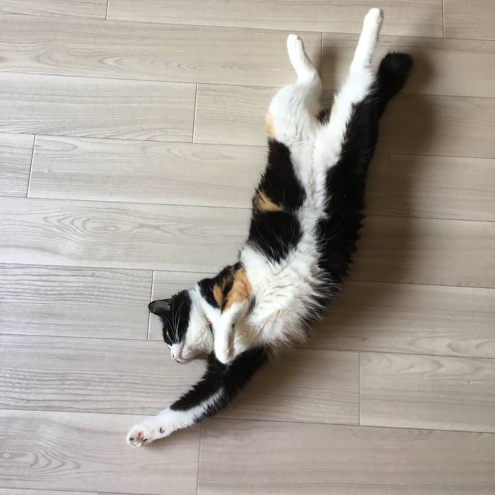 Ee20ceb1 4d9f 411c b749 bba95a12510b