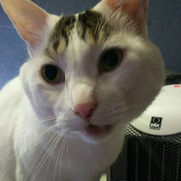 Ee20d539 cb32 4551 93fa 08af95a43b53