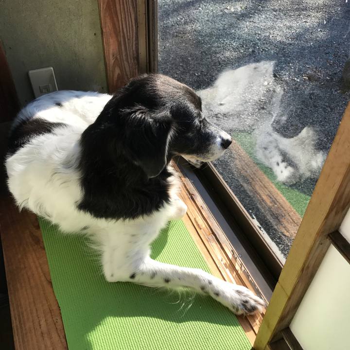 Ee218fa2 49d9 4117 a902 a34d88bdfb63