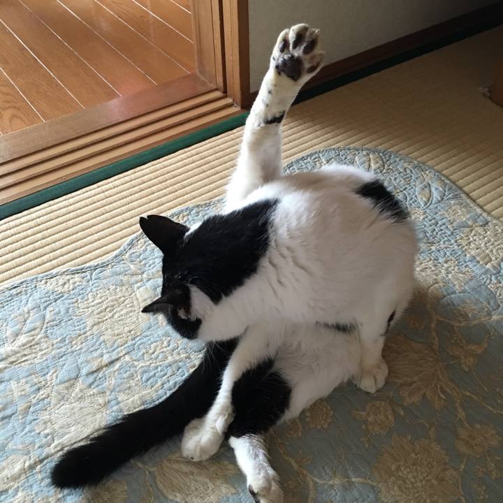 Ee229424 db15 4593 967d 2be12c3f31d7