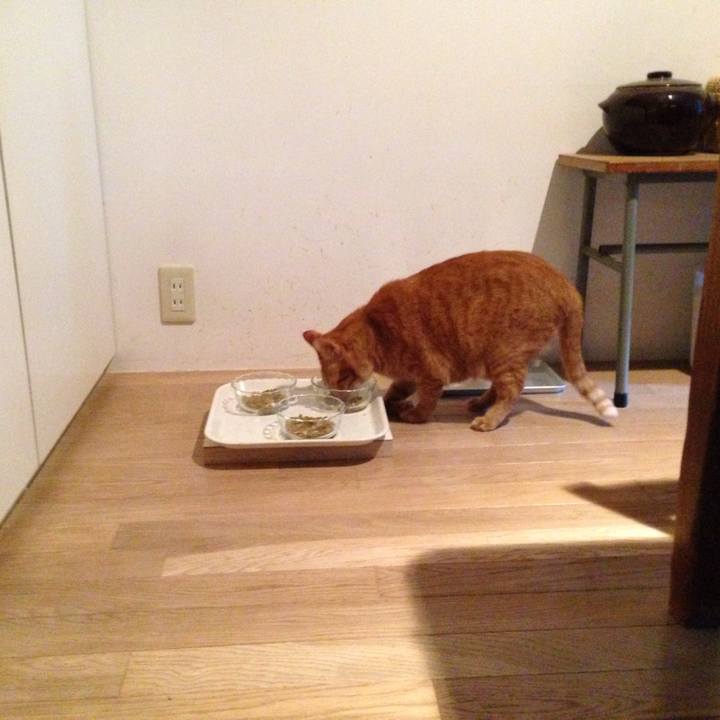 Ee23d940 087e 43ff a873 7c1b7658e75c