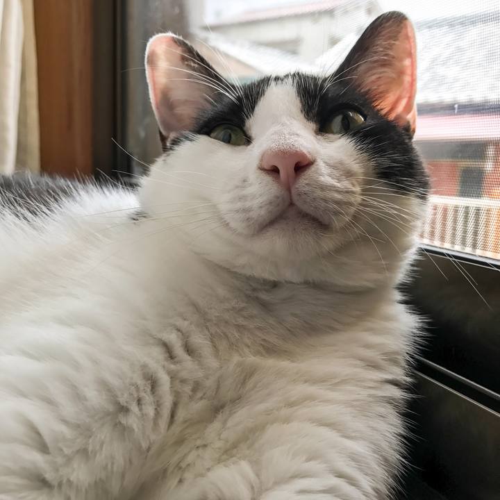 Ee23f8cf a578 4b43 bbdf 36c8d3654dee