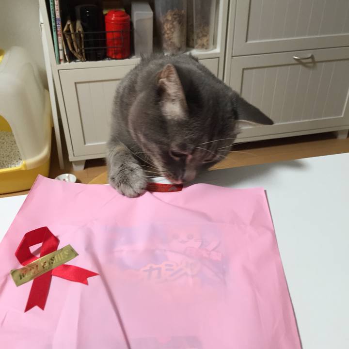 Ee2413d6 4829 418a 84de 2071df81084f