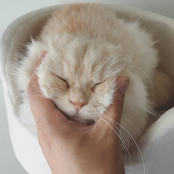 Ee260338 aebf 47b8 a4fc c87c80b26bbf