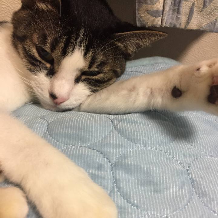 Ee2690c9 dda0 4ae9 8f9f 35968731fa5e