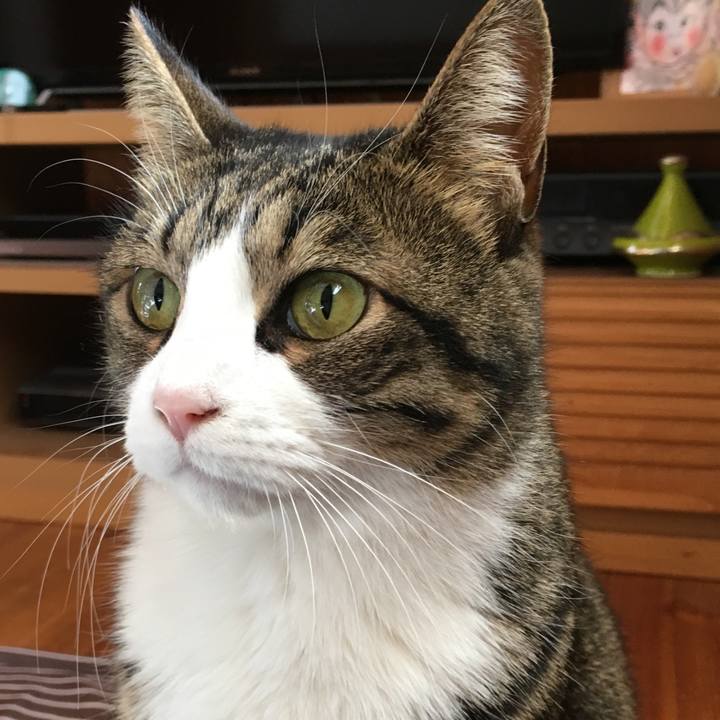 Ee26cad7 5179 4613 bc28 3cd822df0ba3