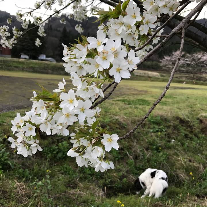 Ee26f127 a7ee 4fc1 92b3 a3445c7ed7a6