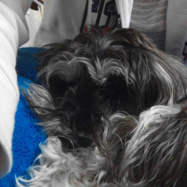 Ee2761f9 a936 4148 8639 9b8b96ba051b