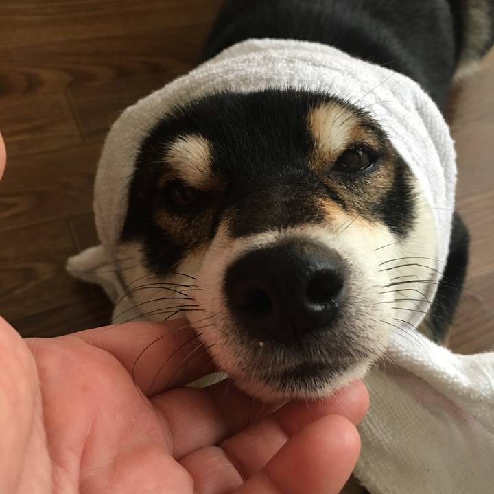 Ee27788c 393b 4a5f ada6 726695e04120