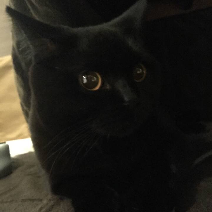 Ee27ddc0 7251 4e47 9ca4 c887a4d6b84b