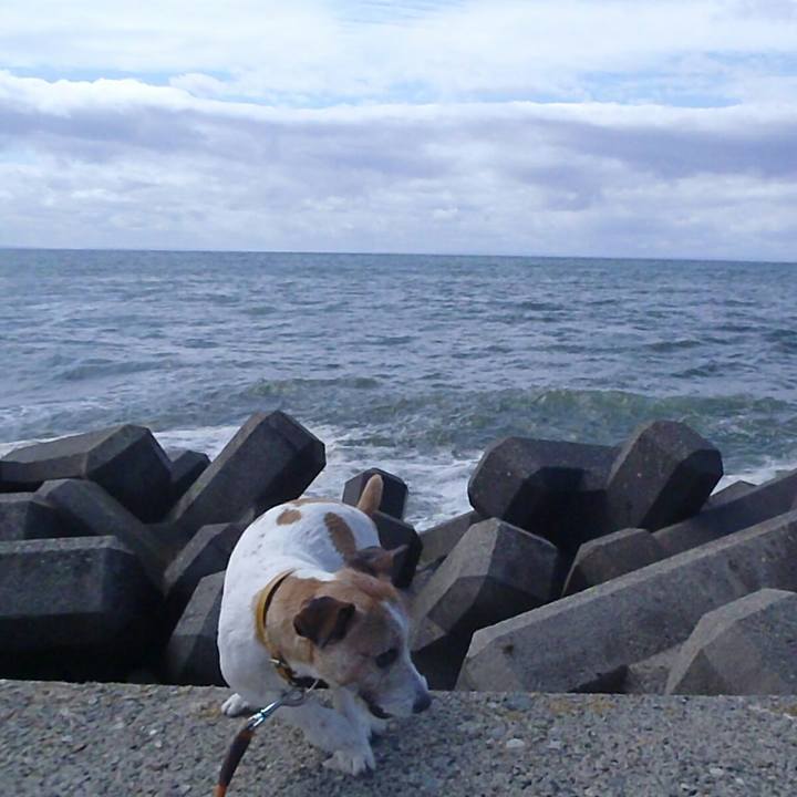 Ee27f544 a33c 487d bf18 2a896ec0b345