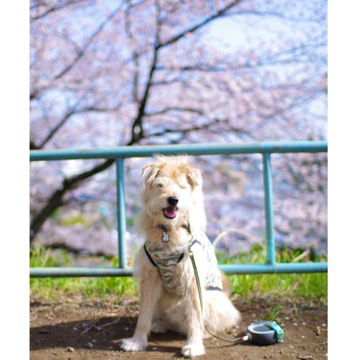 Ee2909c8 7ee2 4186 af4e e78198dbafe3