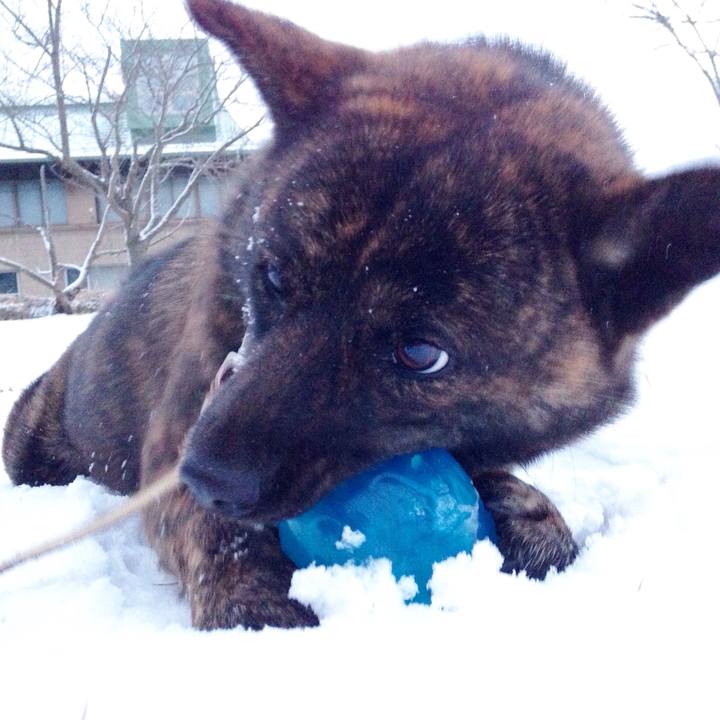 Ee29e1ca 0308 4c89 b3f1 bfadb3562206