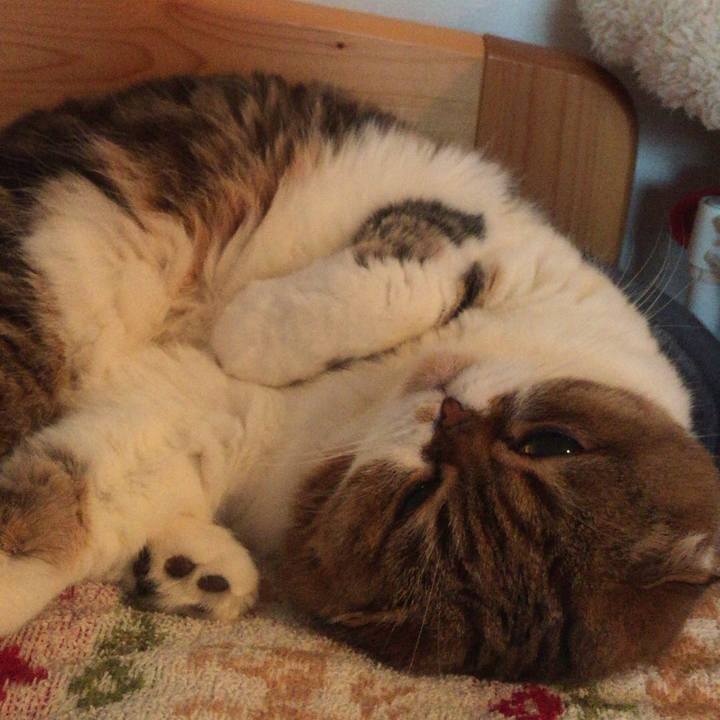 Ee2a94a7 2ad4 42ab 9a12 87ee2ee3feda