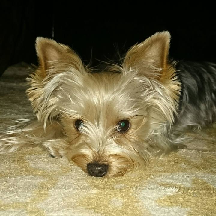 Ee2c6b31 e612 44c9 8a0f b3c49fea317a