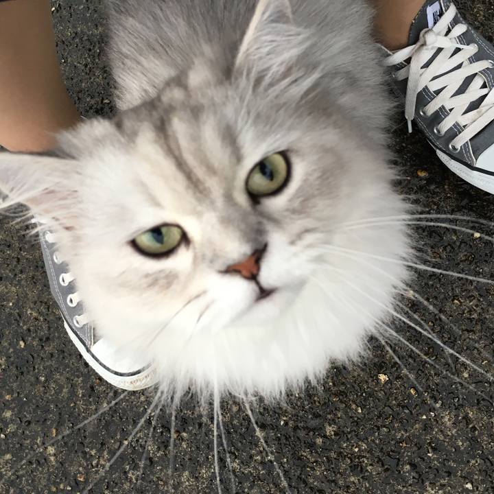 Ee2d3d06 2772 4abb 8b7b 8d578e75a357