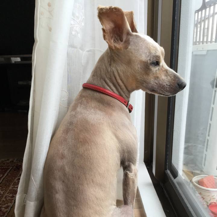 Ee2de624 ef44 4eea 9ca8 caac355feb71