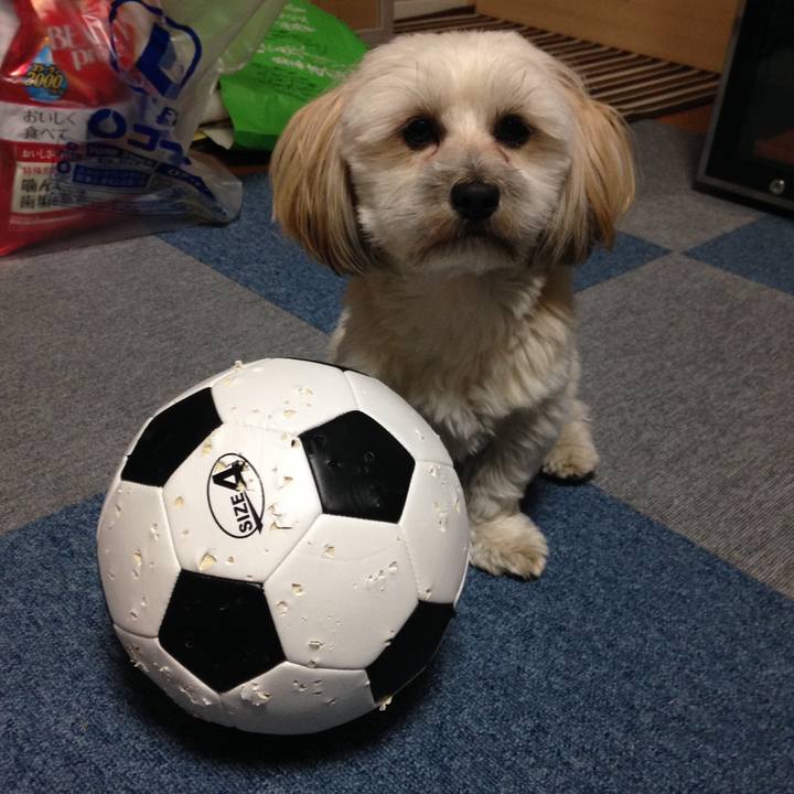 Ee2e413e 7d5d 4fc5 af3d 329732579030