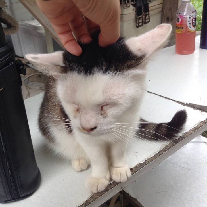 Ee2e6d2b dd7d 4bfb b10e a314487154cd