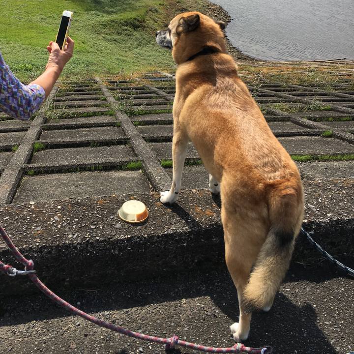 Ee2e86d7 b233 4bfd 9e61 3680871d3d86