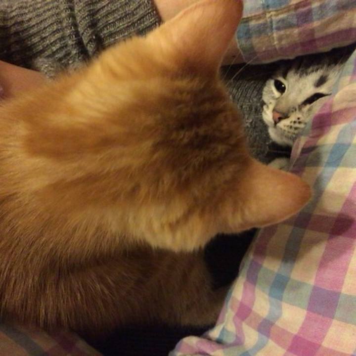 Ee2ebac2 dd01 492a be20 3552f1730c7a