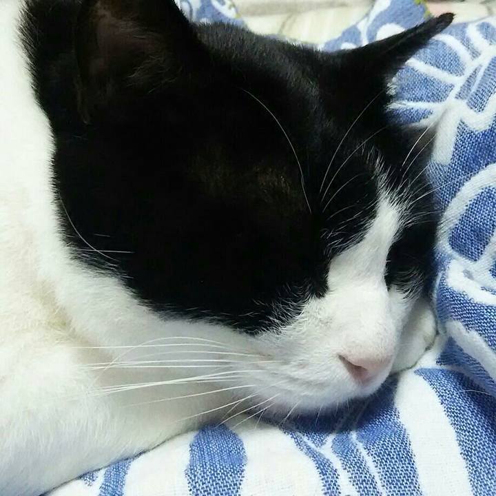 Ee2ef361 b2e9 479d 814a 4efedc1e04b9