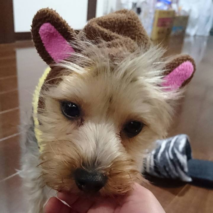 Ee2f2333 1616 491f 9c42 a93a27c8481a