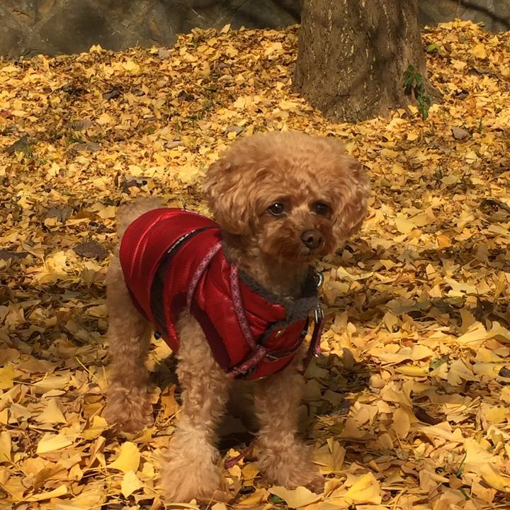 Ee2f39a7 6f07 479f b397 72f155f2d573