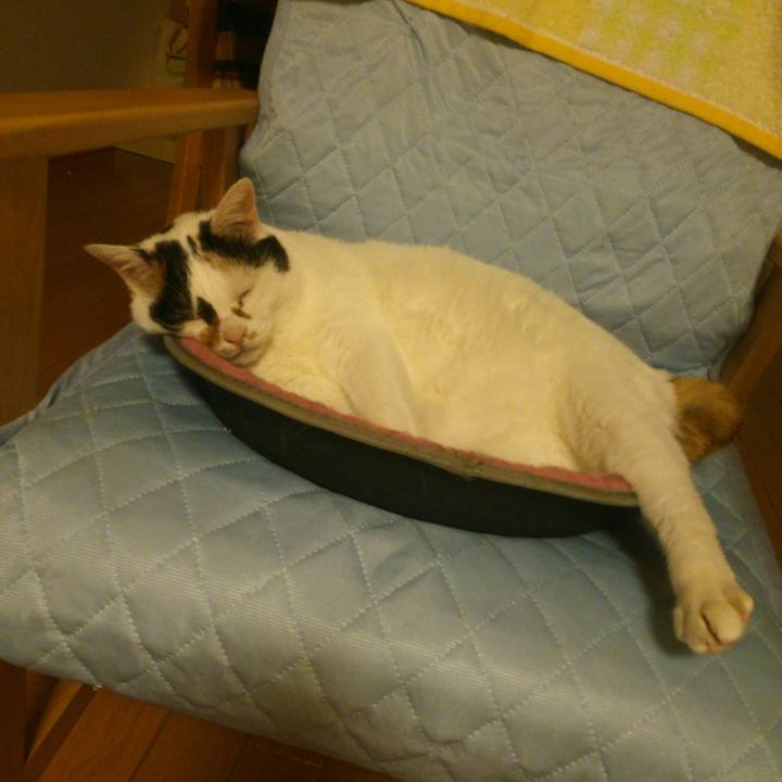 Ee2f405c 0f50 4279 8451 b5da7ab506b3