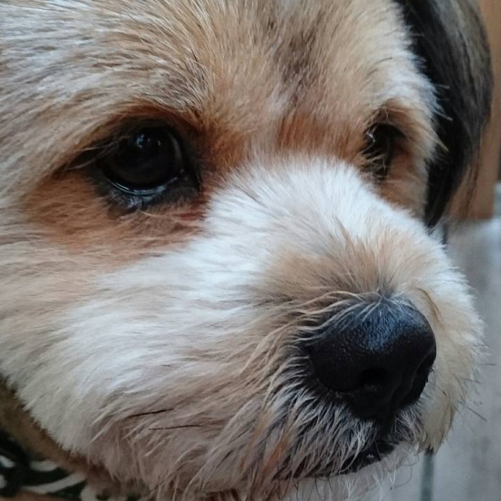 Ee2f40cc fc72 43af 947c 3408564805bc