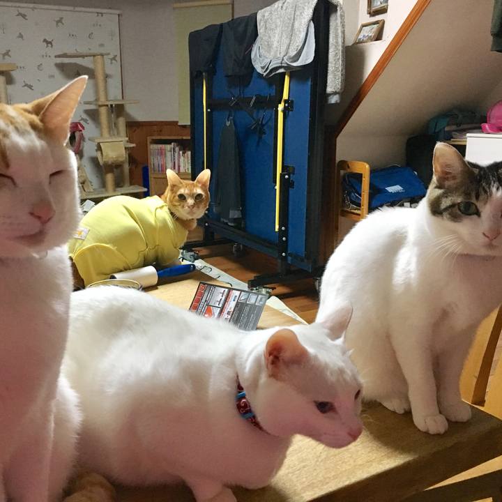 Ee2fd6d5 a980 416d b35b b57b17d46061