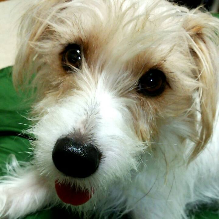 Ee309265 884a 4d5f 811f af008519d2d4