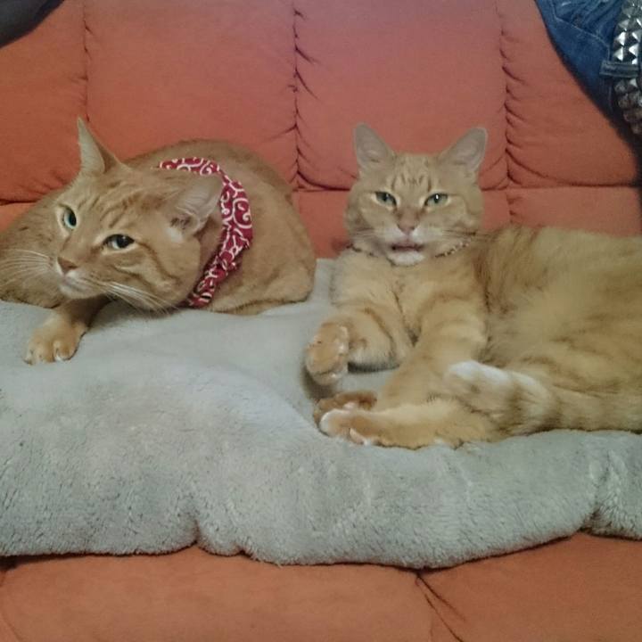 Ee30d73b 05a2 41e0 badd d7f686d6a7e2