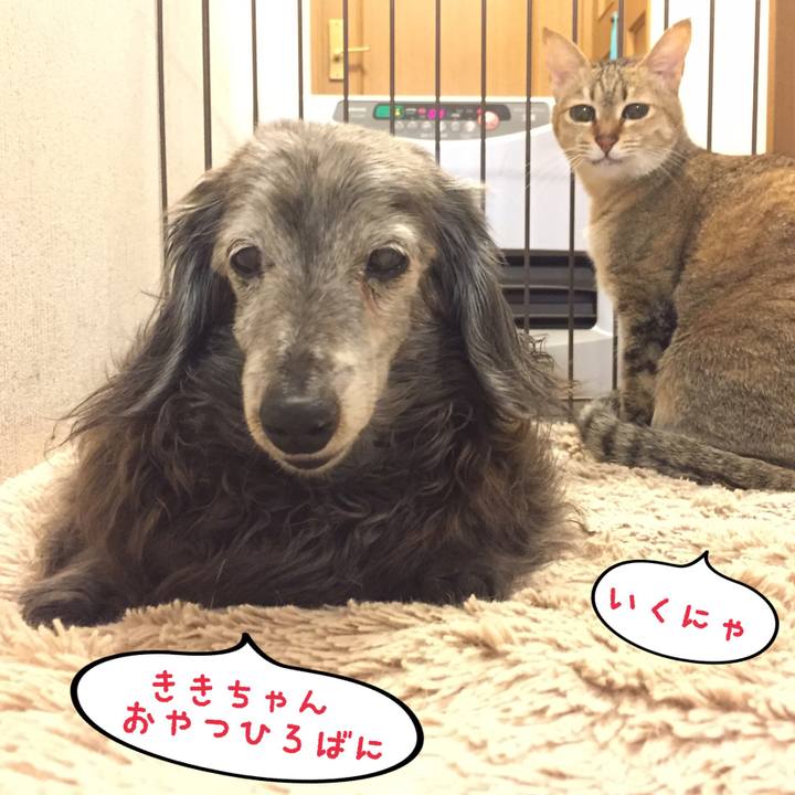 Ee31426d 876e 4999 a91f 47201feb67b0