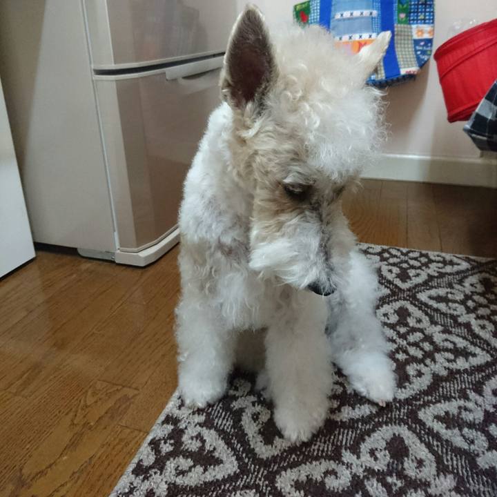 Ee31f1a3 2d0c 45f3 836e c16a745d10de