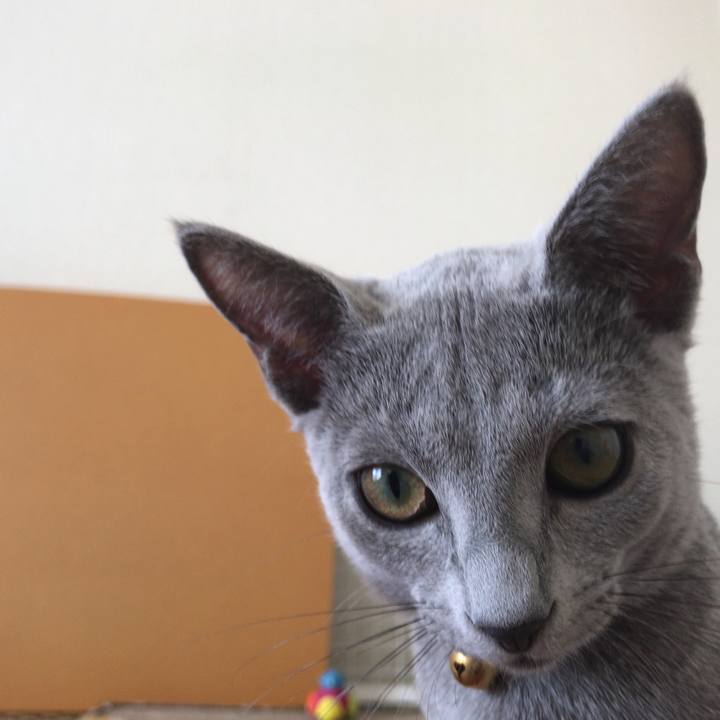 Ee3243ba fea9 44f7 b558 bfd91ed521da