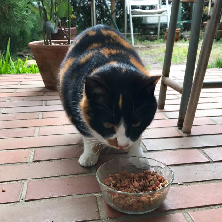 Ee32554c 93af 49bf 8935 3723fa19ad0f