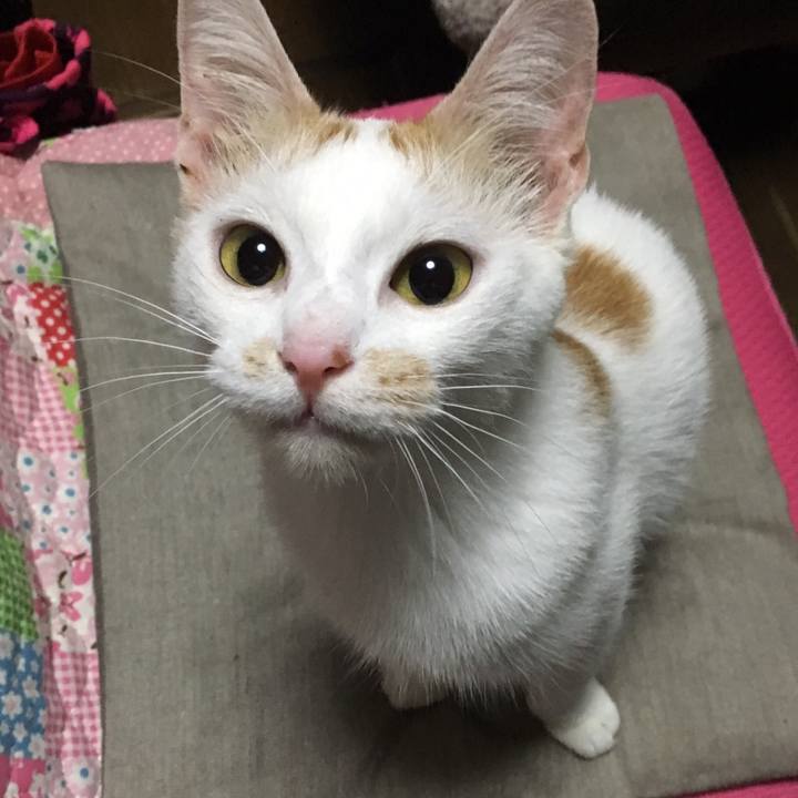 Ee33b113 f7c4 4b42 b24b c170d4f9b93f