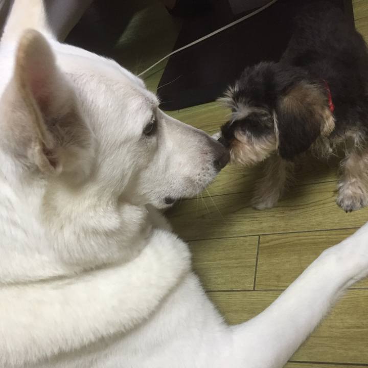 Ee33b364 7b23 4b9e ad95 77883a9ab51f