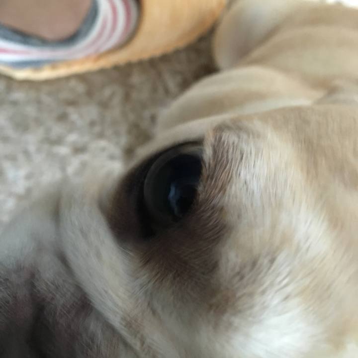 Ee34fda1 cb29 4c34 a5c4 97a23975ba53