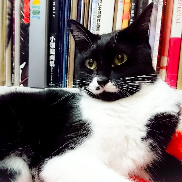 Ee35b387 7219 4ccb 811a b726e3e403c1