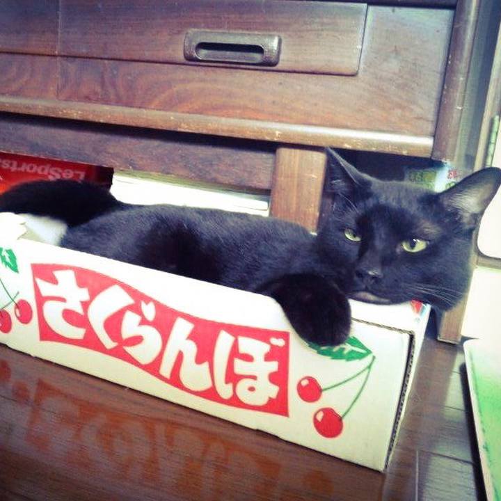 Ee3649ae 1f77 413d 9505 667a6aca3905