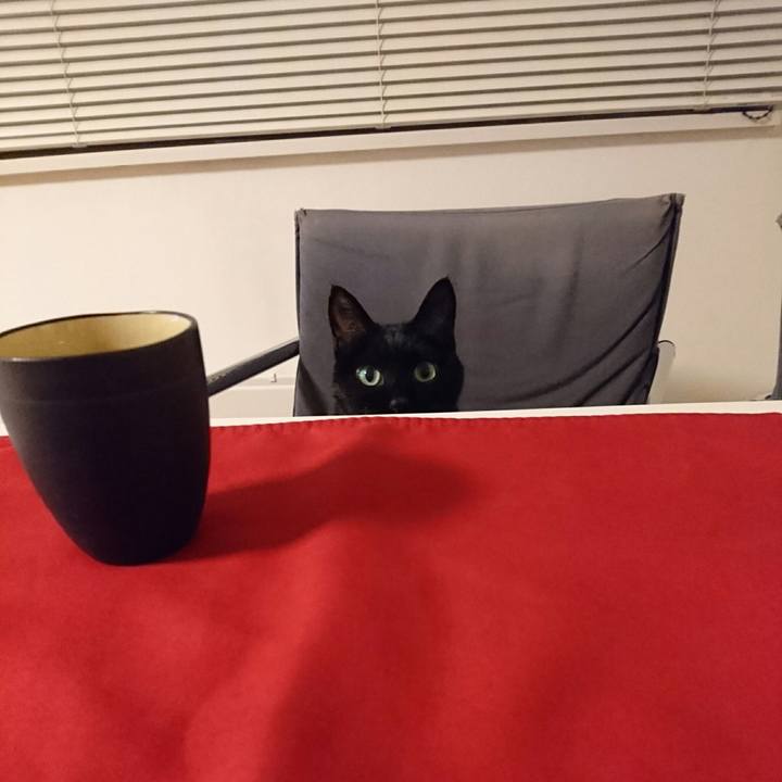 Ee37350e 48d5 430a adc1 2d592b46f90e